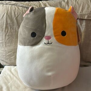 Everett the Guinea Pig (2021) Squishmallow 12in